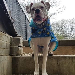 Meet your Posher, Kerri